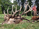 hirsch1